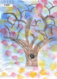 Fall Tree by Caleb